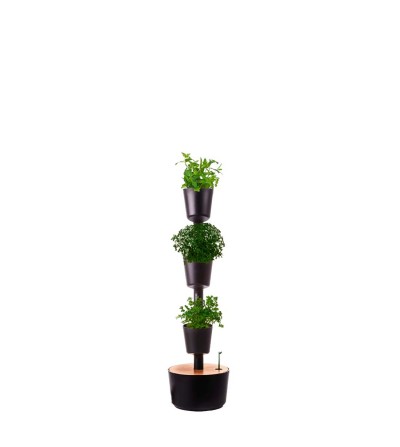 Vertical planter with aromatic plants