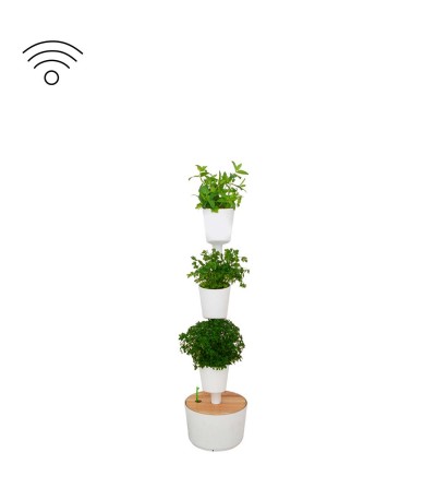 Hort interior amb plantes aromàtiques amb autorreg intel·ligent