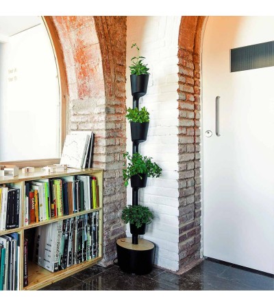 Vertical planter with aromatic plants