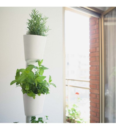 Macetero vertical con plantas aromáticas