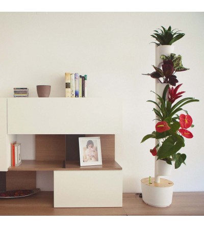 Vertical Planter with Vital Red plants