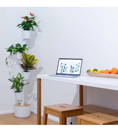 Self-watering vertical planter with Yellow Joy plants