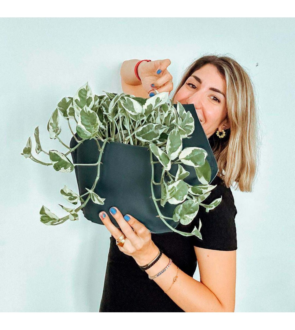 Citysens Set Mit 3 Wandtöpfen Aus Recyceltem Polypropylen – Weiß, Sechseckig, Für Innen & Außen
