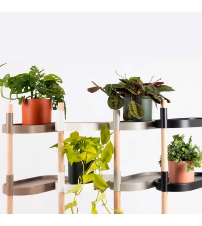 self-watering plant shelves