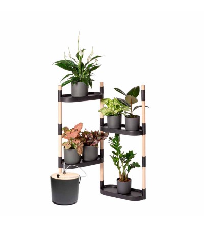 étagère pour plantes avec arrosage automatique