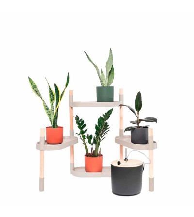 self-watering plant shelves