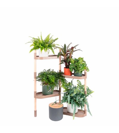 prestatgeria modular per a plantes amb reg per degoteig