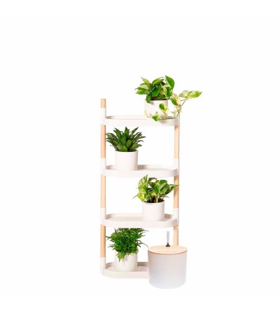 self-watering plant shelves