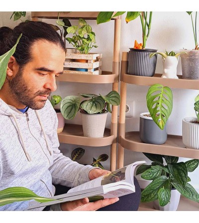 étagère pour plantes avec 4 plateaux