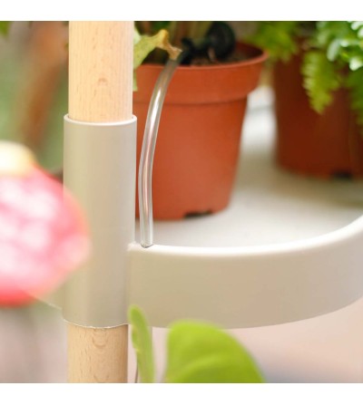 self-watering plant shelves