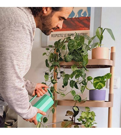 8-tray plant shelves