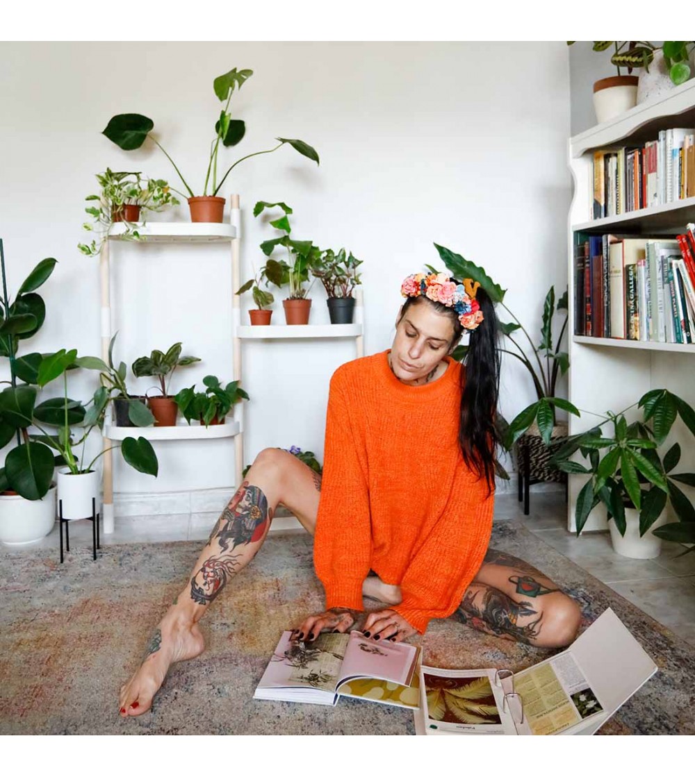 Estantería modular con plantas purificadoras del aire