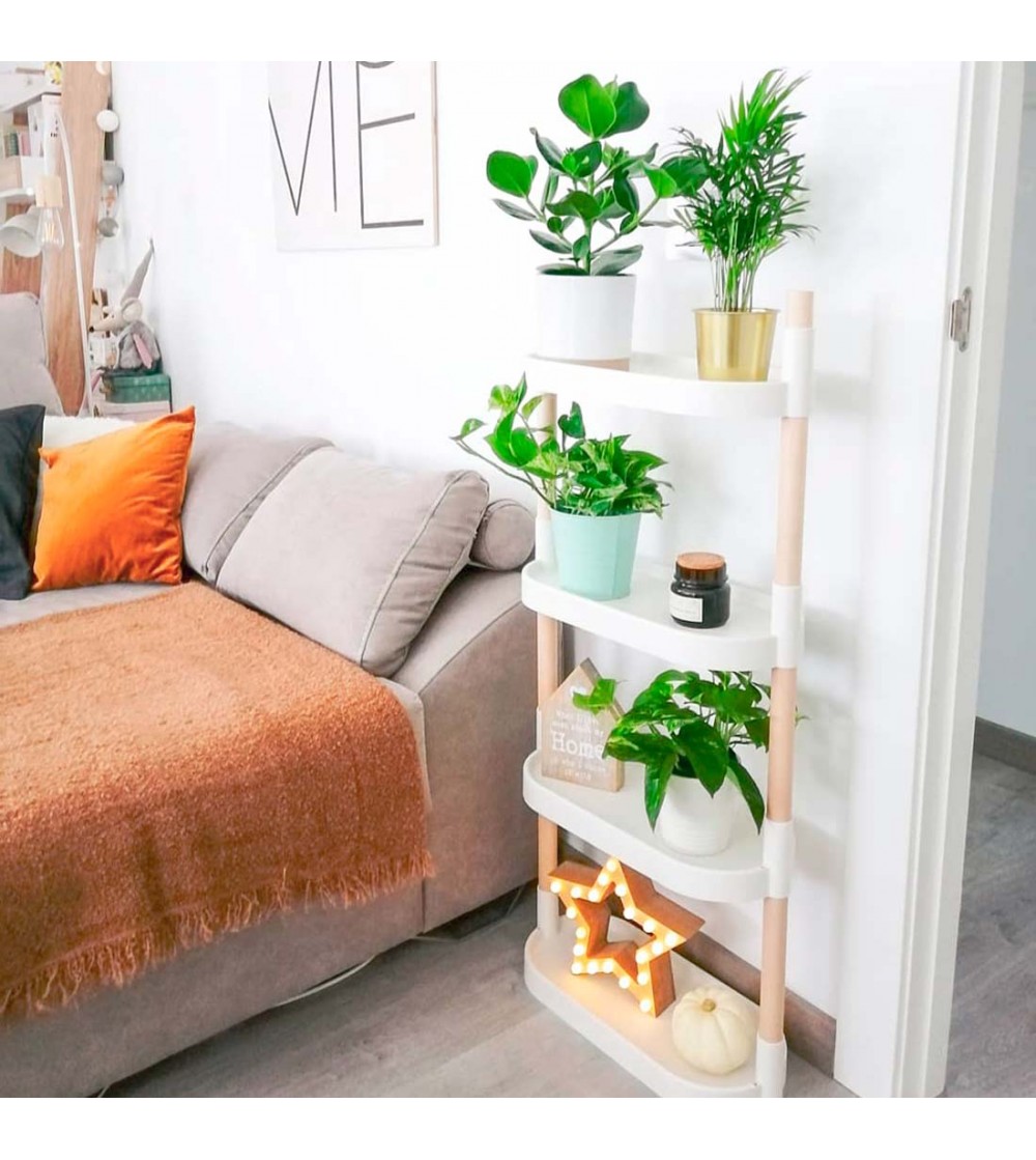 Estantería modular con plantas purificadoras del aire