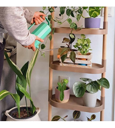 Etagère pour plantes avec 8 plateaux et arrosage automatique