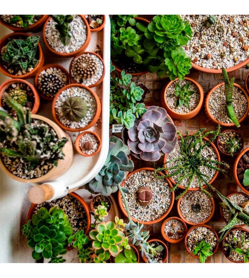Citysens Wandtöpfe Set – 3 Stück, Weiß, Aus Recyceltem Polypropylen, Mit Kapillar-Bewässerung, Für Innen & Außen