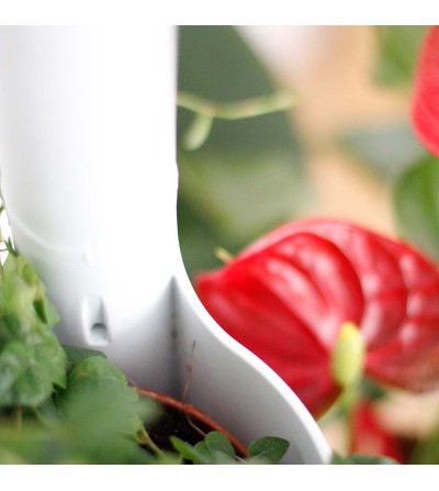 Plant stand with self watering system