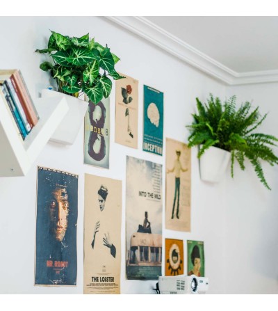 Self-watering wall planters