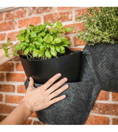 Vaso Autoirrigante Da Parete M5: Il Tuo Piccolo Giardino Verticale, Facile E Senza Pensieri
