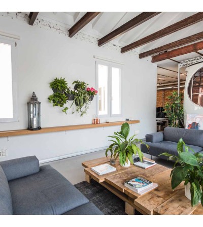 pots muraux avec plantes d'extérieur