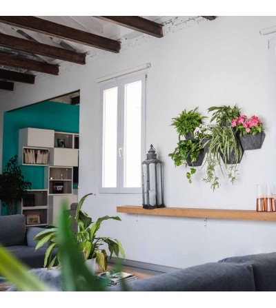 pots muraux avec plantes