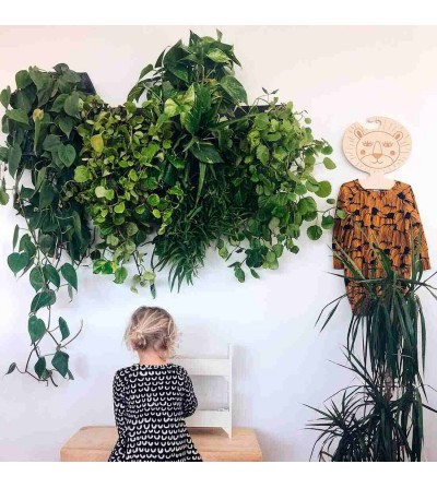 Macetas de pared con plantas colgantes