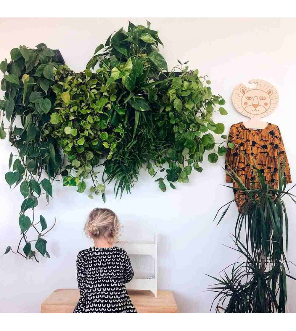 Macetas de pared con plantas colgantes