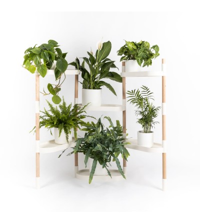 6-tray modular plant shelf
