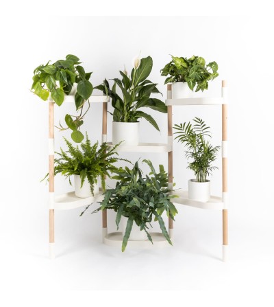 Prestatgeria modular per a plantes de 6 safates