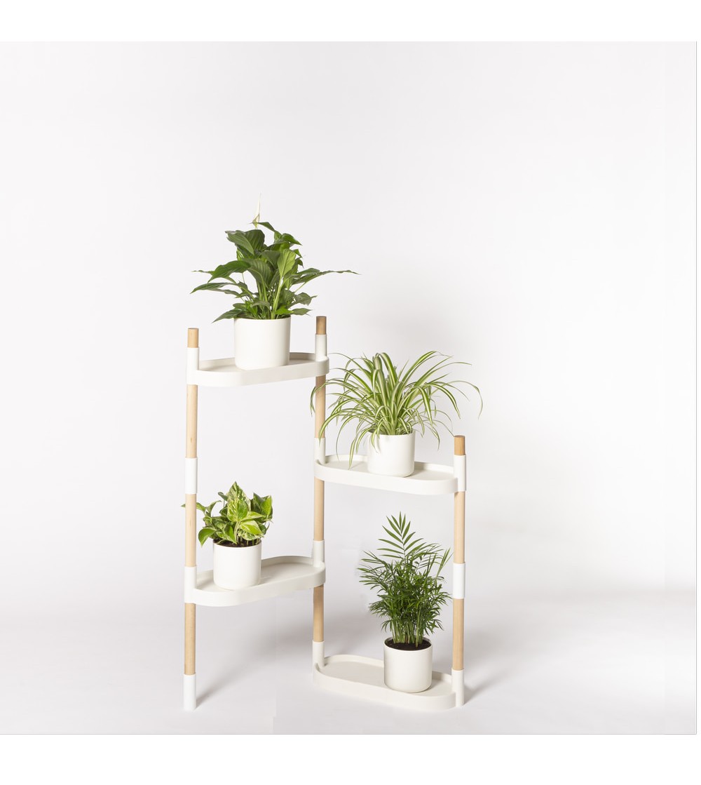 Étagères à plantes modulaires et personnalisables