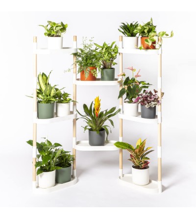 8-tray modular plant shelf