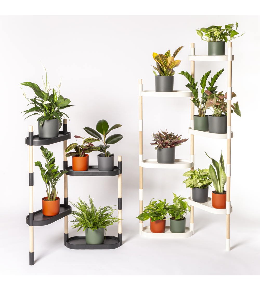 Humidi-Grow ™ Indoor Plant Stand Humidity Growing Tray