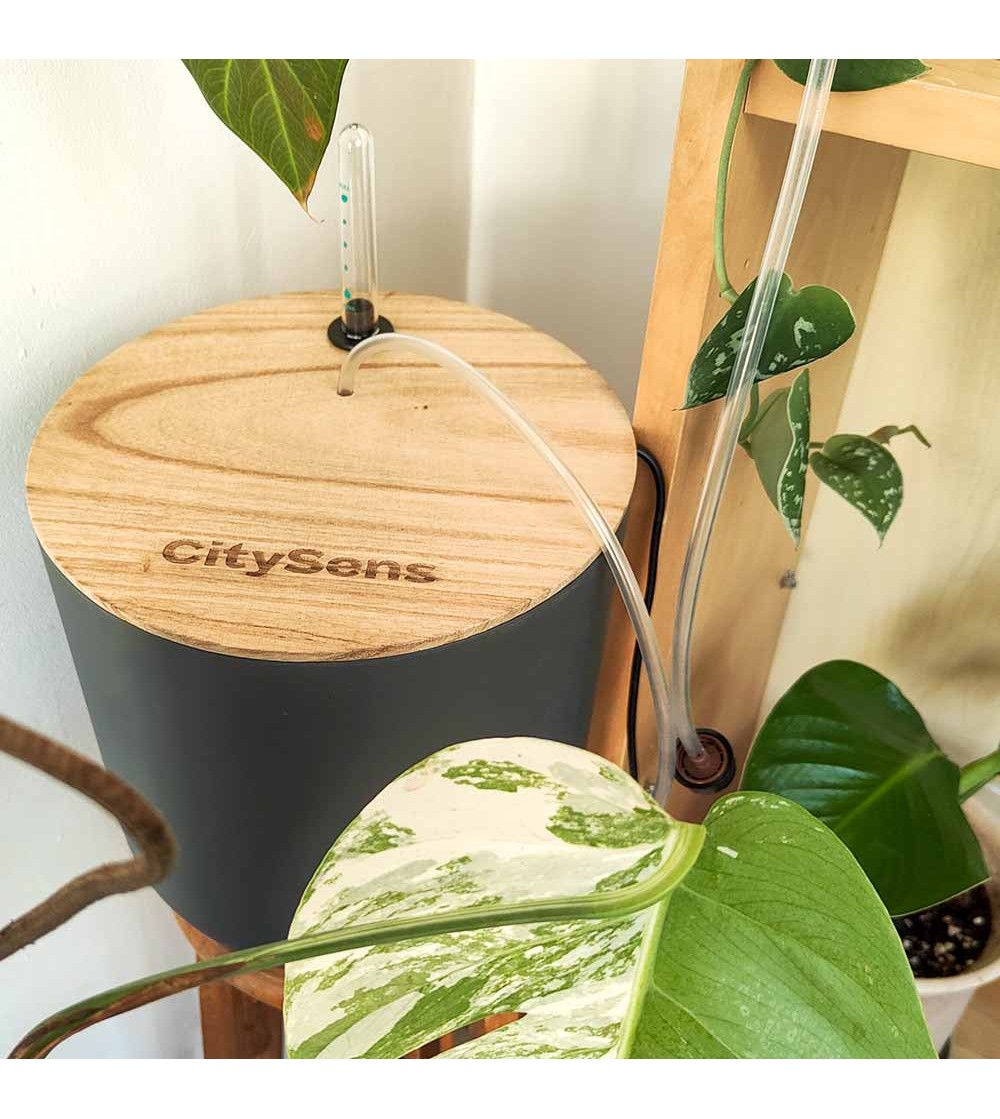 Gouttes A Gouttes Pour Plantes