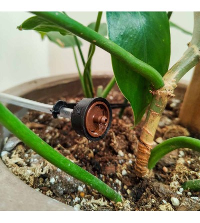 Arrosage goutte à goutte smart pour plantes d'intérieur