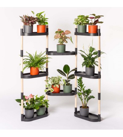 Renewed Modular Plant Shelves