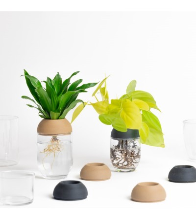 Create your own transparent planter