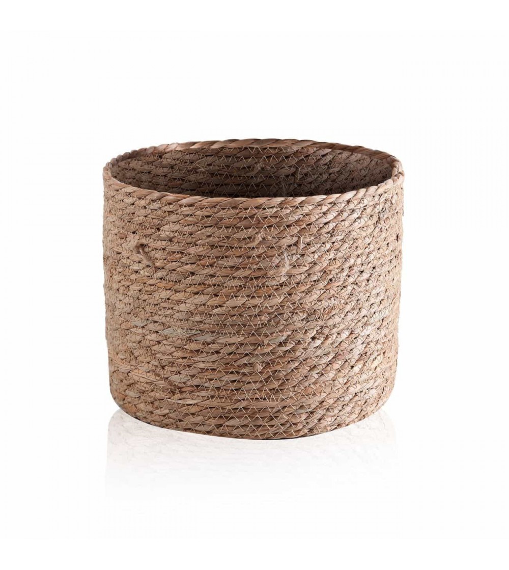 vaso per piante marine