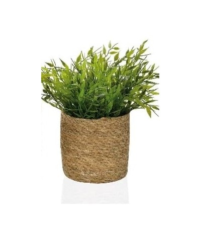 Vaso per piante sostenibili