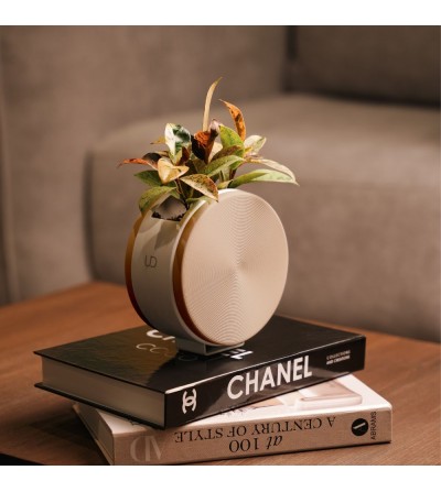 Round cream-coloured tabletop planter