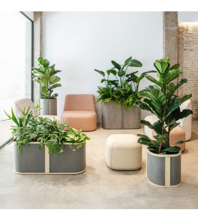 copy of Vaso transparente CitySens
