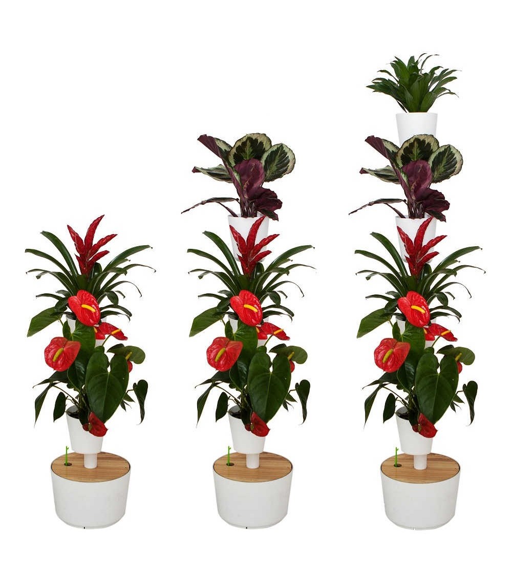 Macetero Vertical Con Plantas Rojo Vital