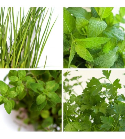 acheter plantes aromatiques