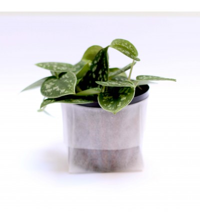 Plant pot filter bags