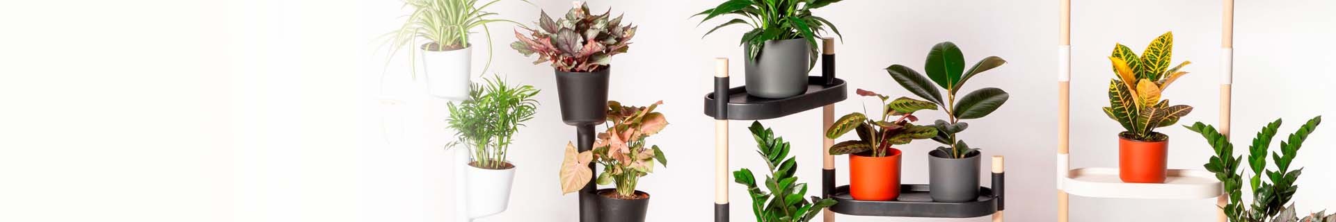 CitySens best-selling products: vertical planters, plant shelves and wall planters.