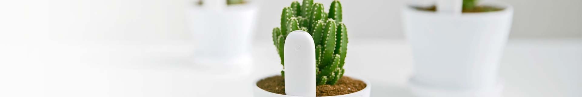 Accesorios para Plantas de Interior y de Exterior | CitySens