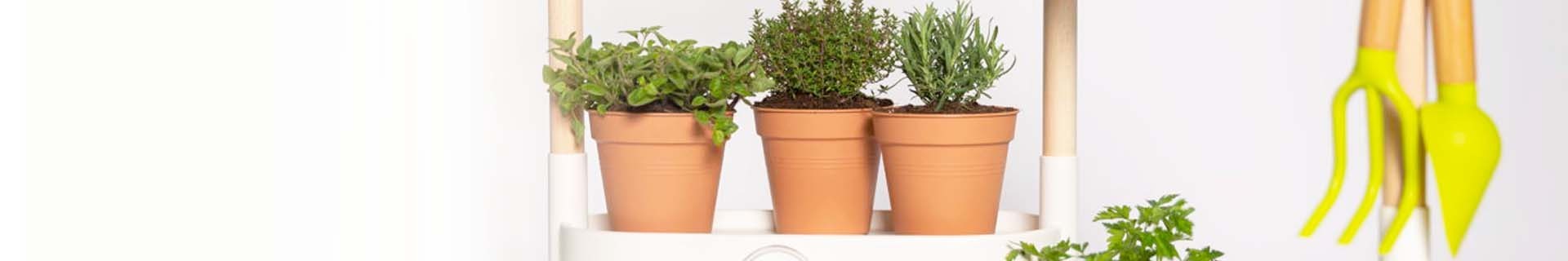 Indoor self-watering urban gardens. | CitySens