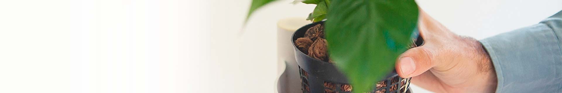 Cadeaux Nature