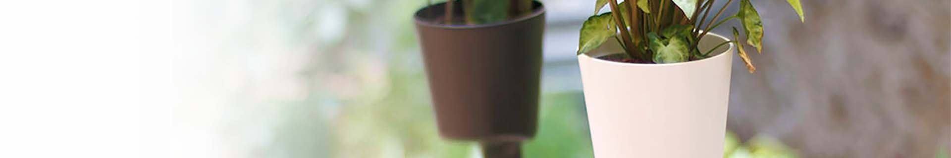Pack of self-watering vertical planter with plants | CitySens