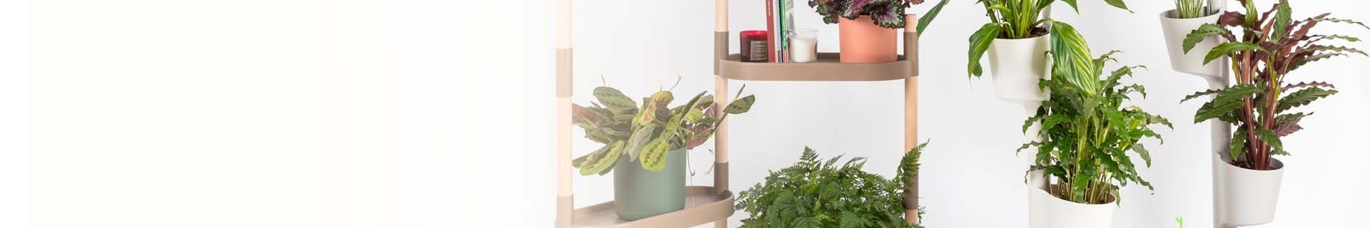 Plant stand: vertical planter, plant shelves and wall planter | CitySens