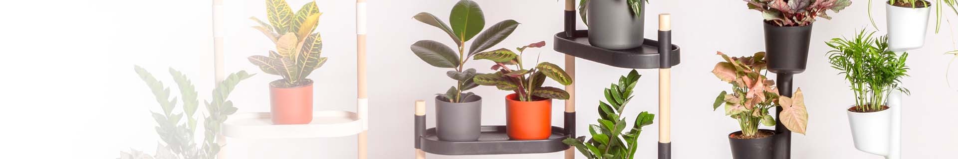 Plantas gratis con los maceteros CitySens