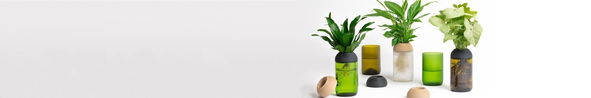 Pot transparent pour le bureau avec des plantes | CitySens